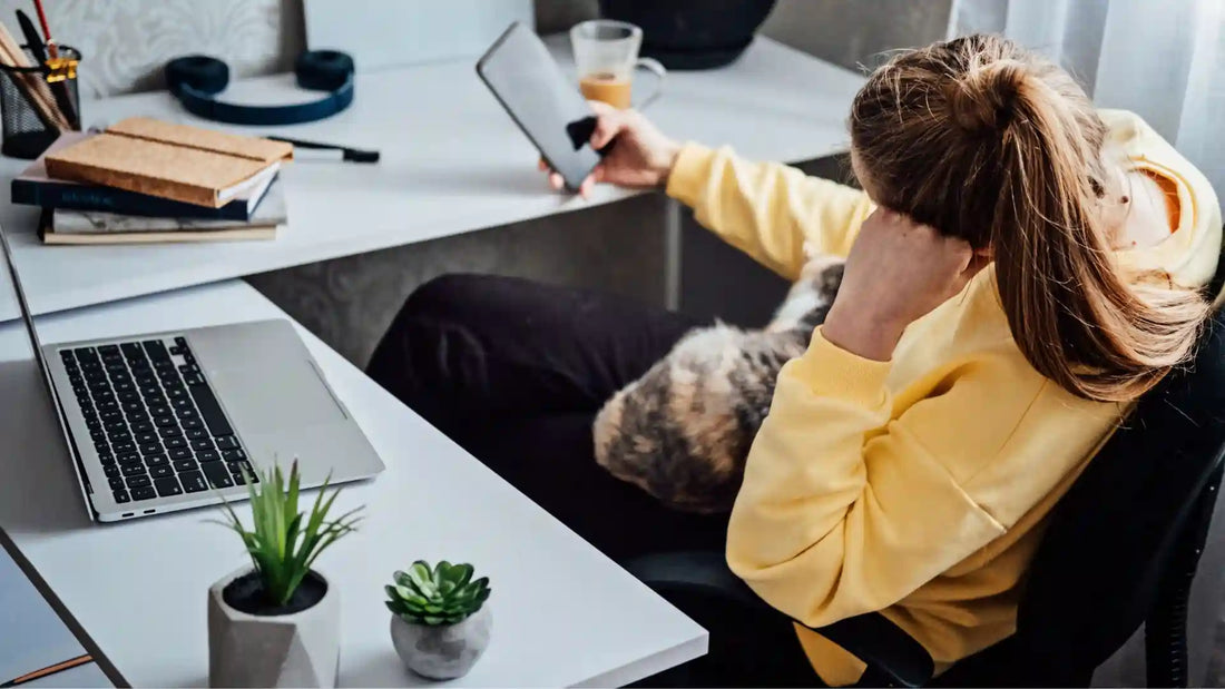 How to Stop Procrastinating? Factual Guide for Daily Productivity